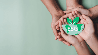 ESG & Assurance Leadership