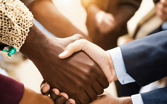 Professional handshake representing expert collaboration