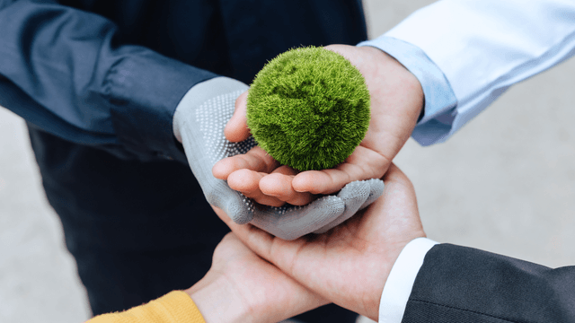 Collaboration & Partnership