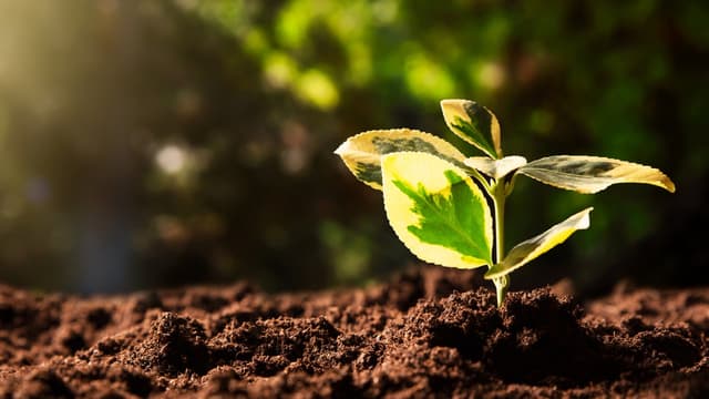 Assurance & ESG Reporting