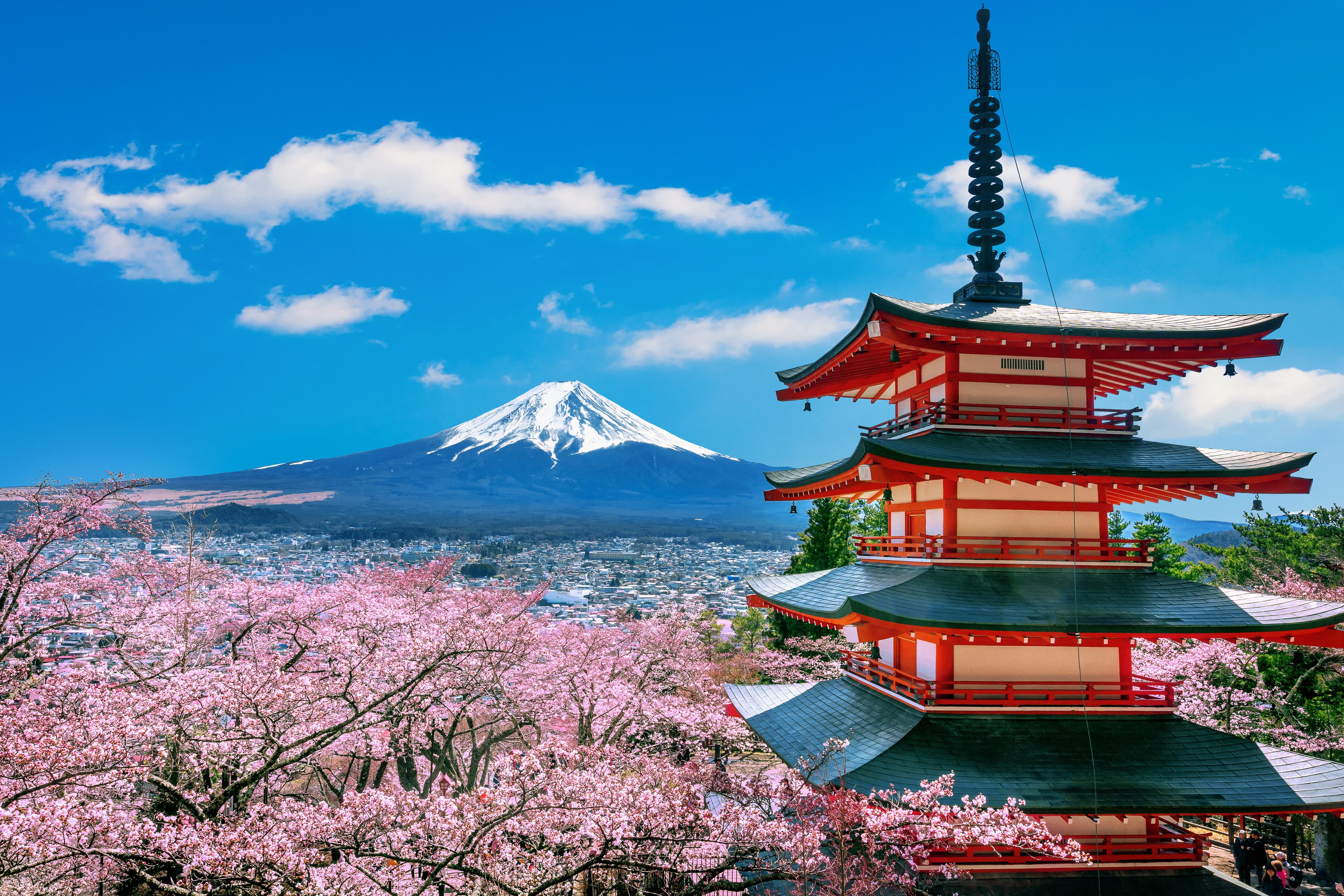 Japan image tree