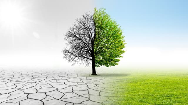 Social Impact Assessment (SIA) 