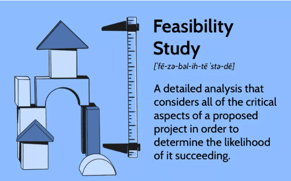 Expert Advisory Project Success and Feasibility